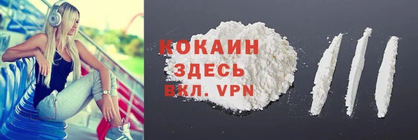 крисы Аркадак