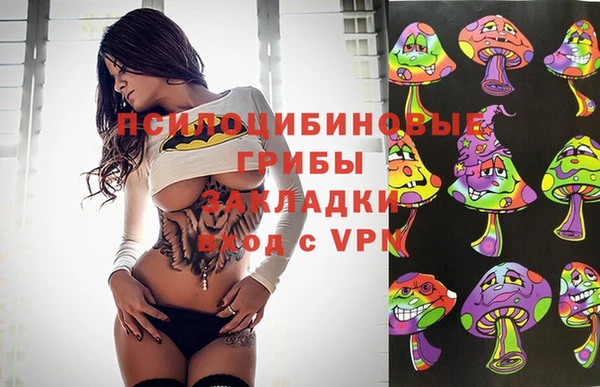 хмурый Армянск