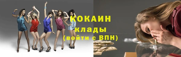 крисы Аркадак