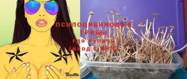 хмурый Армянск