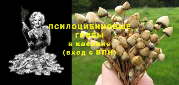 хмурый Армянск
